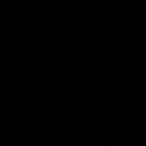 Meet your Posher, Elise